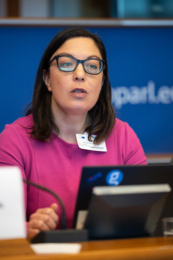 Foto 6: AFCO workshop ' Stock-taking of the European elections 2024 '