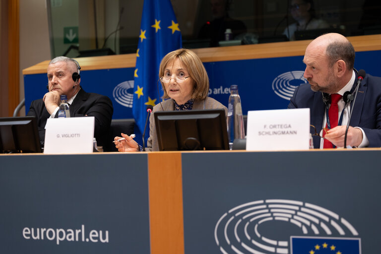 Fotografija 3: AGRI - Exchange of views with Gelsomina Vigliotti, Vice President of the EIB on the financing package for agriculture, forestry