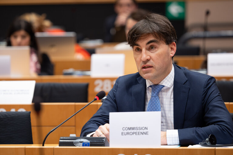 Fotografija 12: AGRI - Exchange of views with Gelsomina Vigliotti, Vice President of the EIB on the financing package for agriculture, forestry
