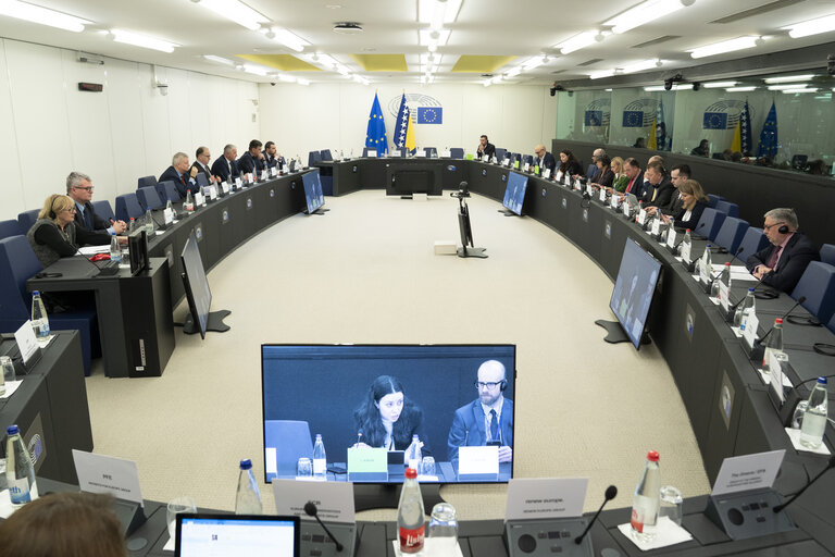 6th EU-Bosnia and Herzegovina Stabilisation and Association Parliamentary Committee meeting