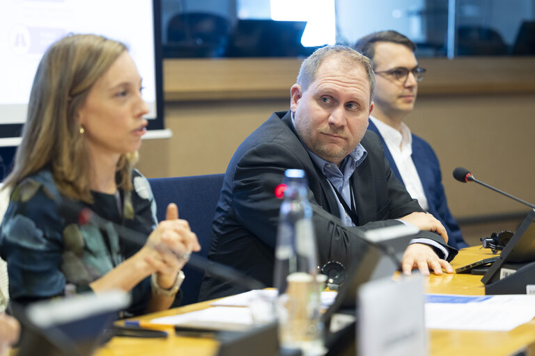 STOA workshop - Accelerating the rollout of EU electric vehicle charging infrastructure