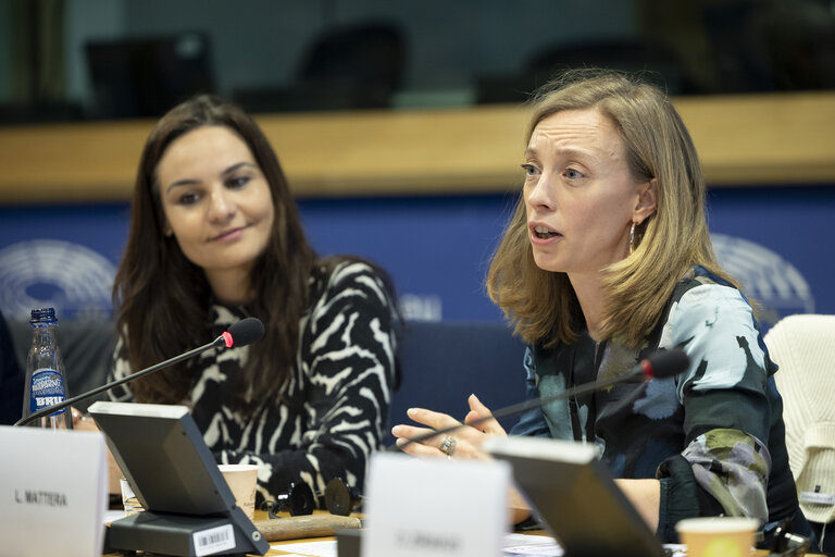 Fotó 20: STOA workshop - Accelerating the rollout of EU electric vehicle charging infrastructure
