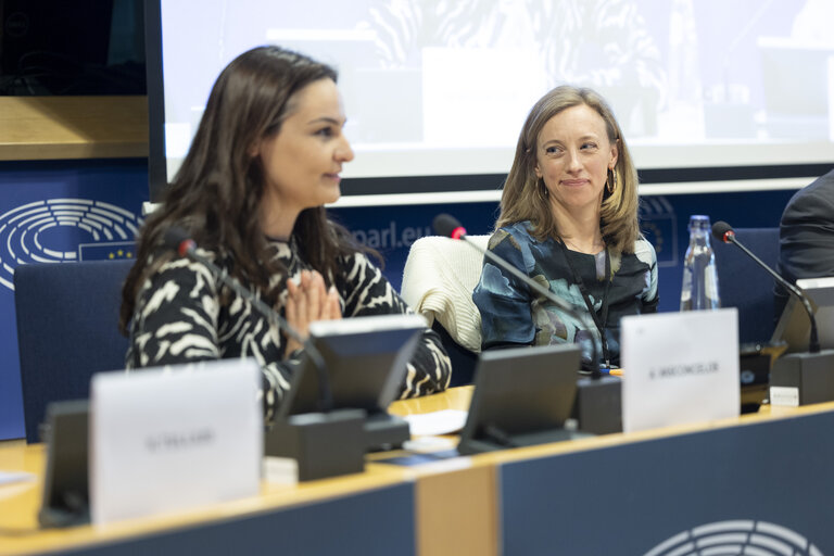 Fotó 35: STOA workshop - Accelerating the rollout of EU electric vehicle charging infrastructure
