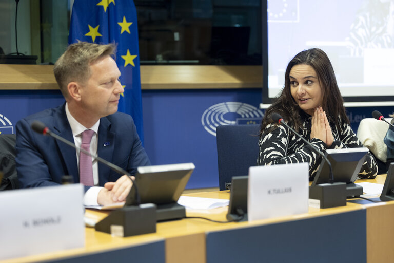 Fotó 34: STOA workshop - Accelerating the rollout of EU electric vehicle charging infrastructure