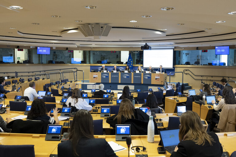 Fotó 25: STOA workshop - Accelerating the rollout of EU electric vehicle charging infrastructure
