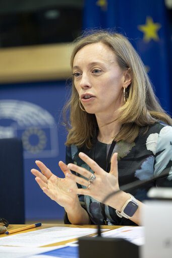 Fotó 22: STOA workshop - Accelerating the rollout of EU electric vehicle charging infrastructure