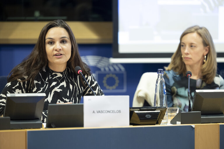 Fotó 33: STOA workshop - Accelerating the rollout of EU electric vehicle charging infrastructure