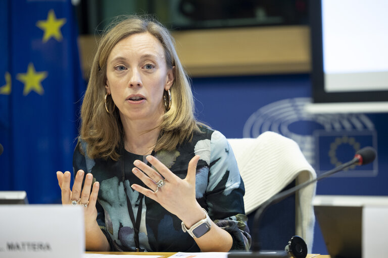 Fotó 21: STOA workshop - Accelerating the rollout of EU electric vehicle charging infrastructure