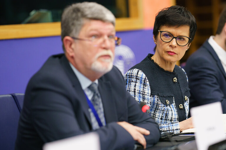 Φωτογραφία 13: AFET Working group on Western Balkans  - Exchange of views with Marta Kos, Commissioner for Enlargement on the state of play of the enlargement process with regard to Albania, Bosnia and Herzegovina, Kosovo, Montenegro, North Macedonia, and Serbia