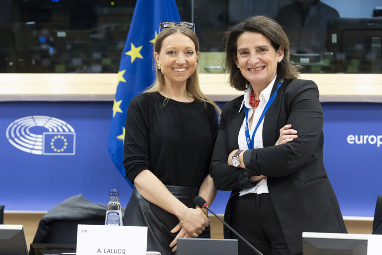 Nuotrauka 20: ECON - Structured Dialogue with Teresa Ribera, Executive Vice-President of the European Commission for a Clean, Just and Competitive Transition