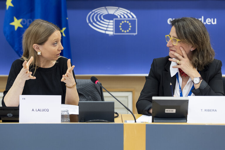 Nuotrauka 19: ECON - Structured Dialogue with Teresa Ribera, Executive Vice-President of the European Commission for a Clean, Just and Competitive Transition