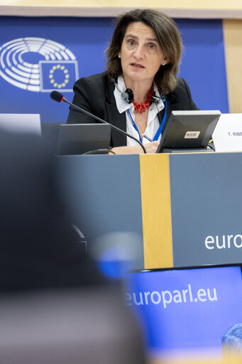 Nuotrauka 11: ECON - Structured Dialogue with Teresa Ribera, Executive Vice-President of the European Commission for a Clean, Just and Competitive Transition