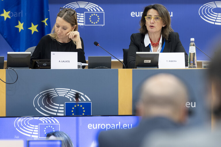 Nuotrauka 14: ECON - Structured Dialogue with Teresa Ribera, Executive Vice-President of the European Commission for a Clean, Just and Competitive Transition
