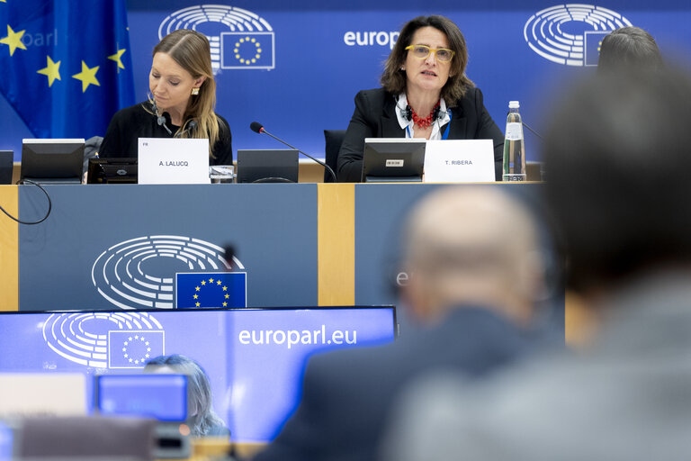 Nuotrauka 4: ECON - Structured Dialogue with Teresa Ribera, Executive Vice-President of the European Commission for a Clean, Just and Competitive Transition