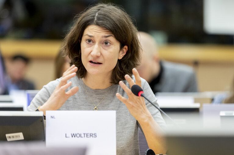 Nuotrauka 8: ECON - Structured Dialogue with Teresa Ribera, Executive Vice-President of the European Commission for a Clean, Just and Competitive Transition