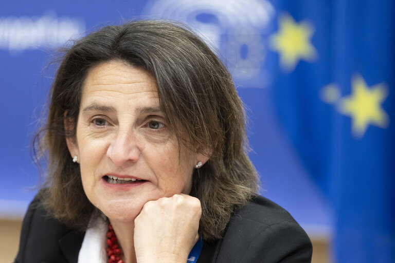 Nuotrauka 21: ECON - Structured Dialogue with Teresa Ribera, Executive Vice-President of the European Commission for a Clean, Just and Competitive Transition