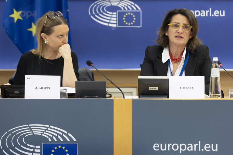 Nuotrauka 16: ECON - Structured Dialogue with Teresa Ribera, Executive Vice-President of the European Commission for a Clean, Just and Competitive Transition