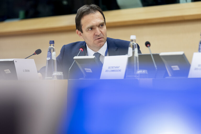 Nuotrauka 1: ECON - Structured Dialogue with Teresa Ribera, Executive Vice-President of the European Commission for a Clean, Just and Competitive Transition