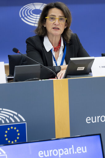 Nuotrauka 15: ECON - Structured Dialogue with Teresa Ribera, Executive Vice-President of the European Commission for a Clean, Just and Competitive Transition