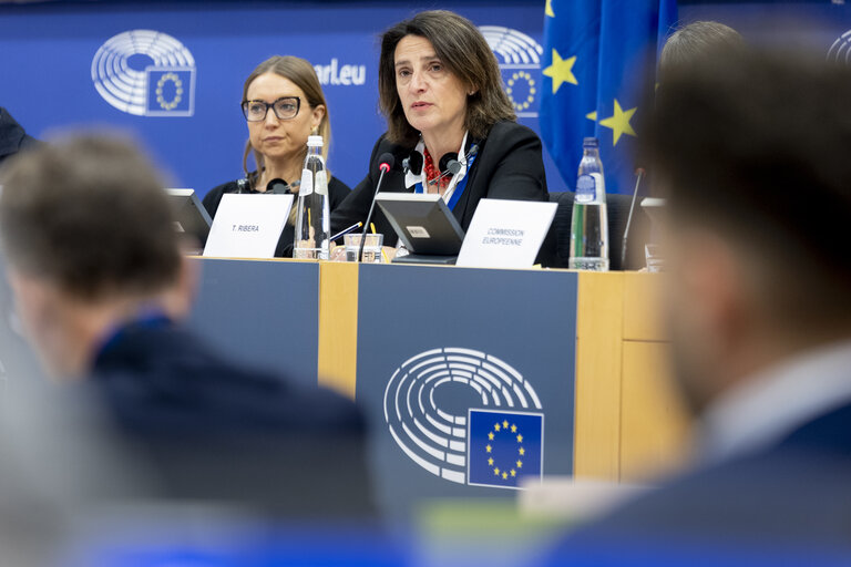 Nuotrauka 7: ECON - Structured Dialogue with Teresa Ribera, Executive Vice-President of the European Commission for a Clean, Just and Competitive Transition