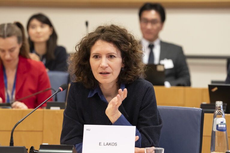 Foto 30: STOA - EU-Japan Cooperation in the Areas of Quantum and AI