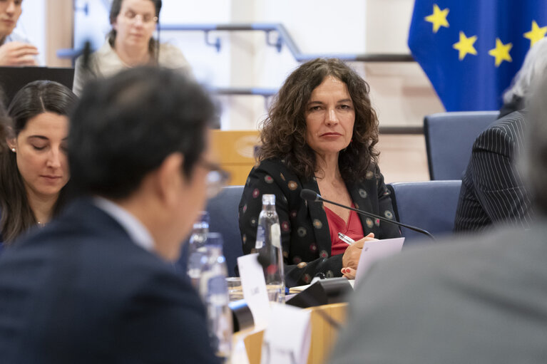 Foto 5: STOA - EU-Japan Cooperation in the Areas of Quantum and AI