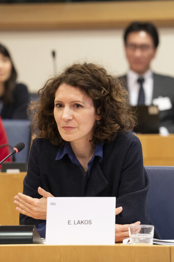 Foto 31: STOA - EU-Japan Cooperation in the Areas of Quantum and AI