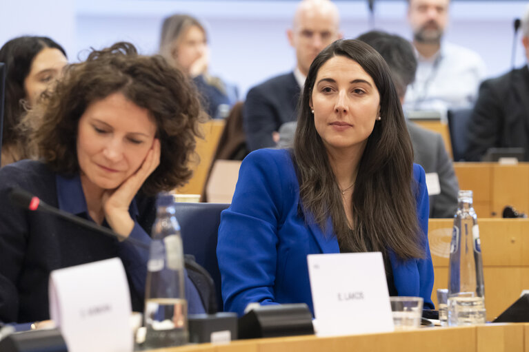Foto 26: STOA - EU-Japan Cooperation in the Areas of Quantum and AI