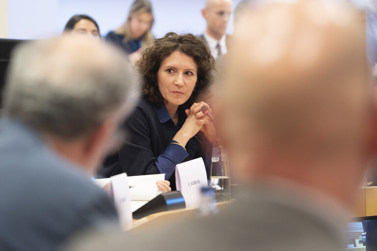 Foto 28: STOA - EU-Japan Cooperation in the Areas of Quantum and AI