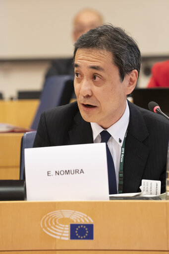 Foto 25: STOA - EU-Japan Cooperation in the Areas of Quantum and AI