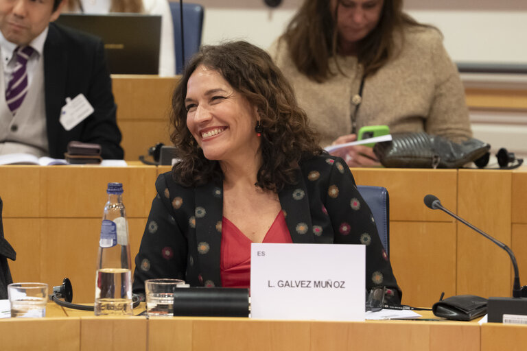 Foto 40: STOA - EU-Japan Cooperation in the Areas of Quantum and AI