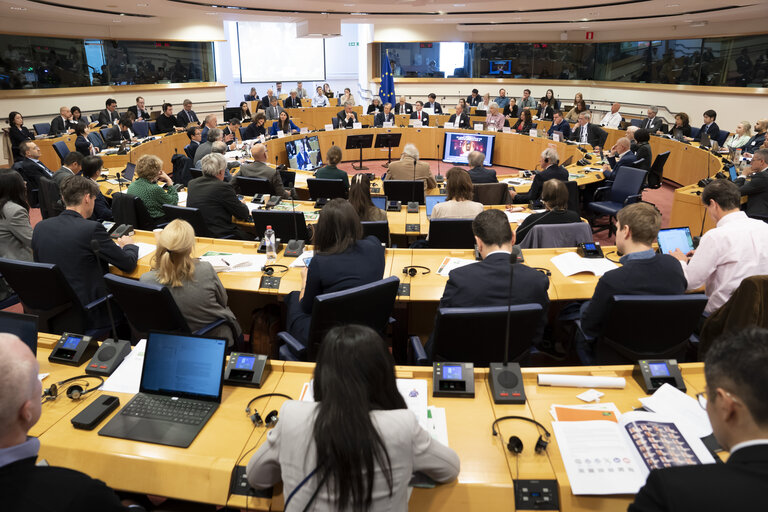 Foto 10: STOA - EU-Japan Cooperation in the Areas of Quantum and AI