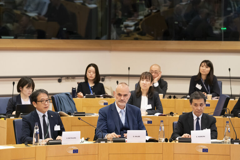 Foto 6: STOA - EU-Japan Cooperation in the Areas of Quantum and AI