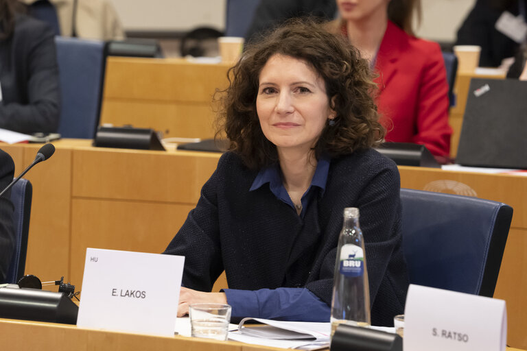 Foto 36: STOA - EU-Japan Cooperation in the Areas of Quantum and AI