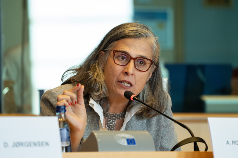 Photo 49: EMPL HOUS Interparliamentary Committee Meeting -  Affordable Housing for al : Policy Approaches and Best Practice Cases in the Member States – sharing success stories and considering new strategies