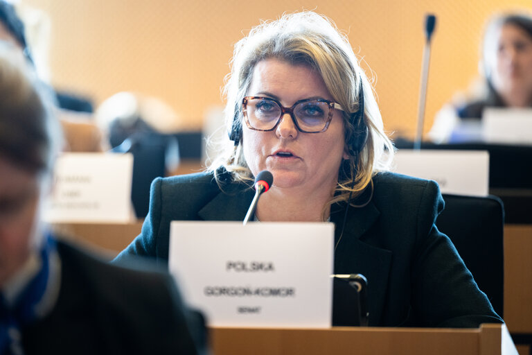 Photo 29: EMPL HOUS Interparliamentary Committee Meeting -  Affordable Housing for al : Policy Approaches and Best Practice Cases in the Member States – sharing success stories and considering new strategies