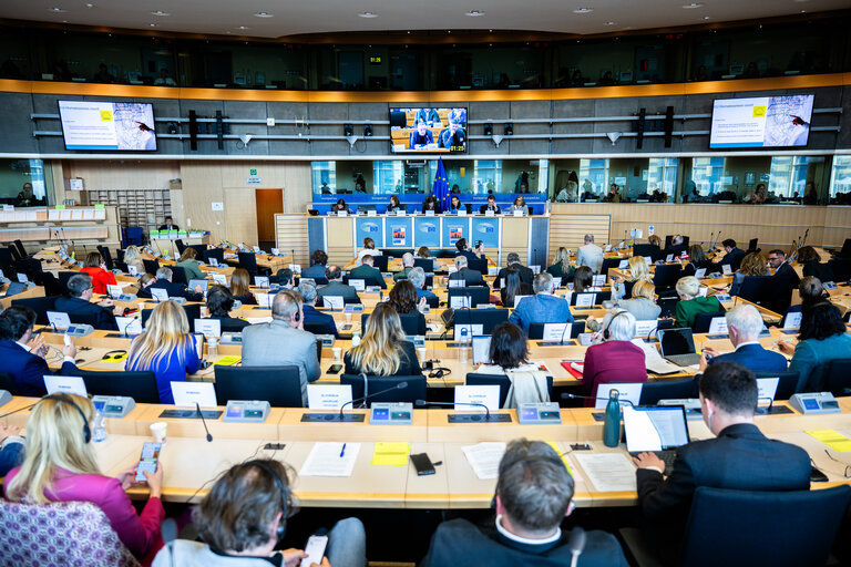 Photo 41: EMPL HOUS Interparliamentary Committee Meeting -  Affordable Housing for al : Policy Approaches and Best Practice Cases in the Member States – sharing success stories and considering new strategies