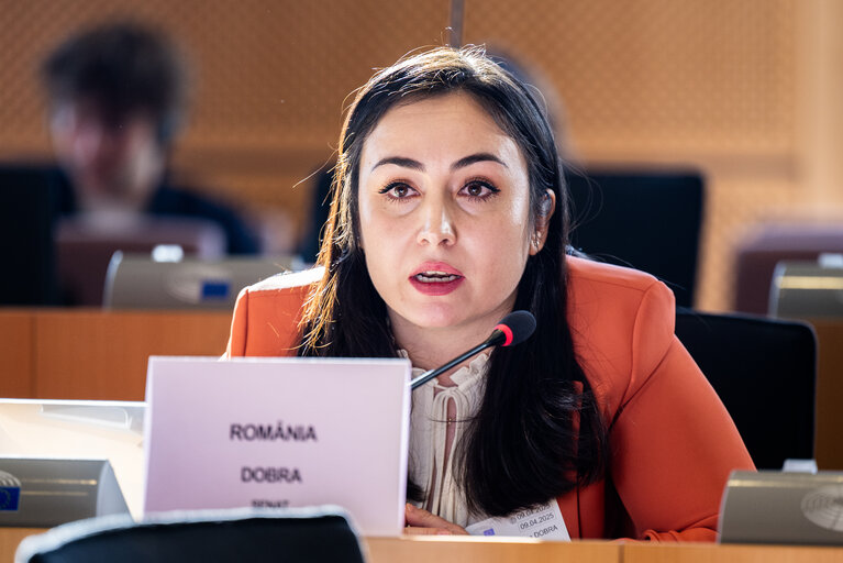 Photo 5: EMPL HOUS Interparliamentary Committee Meeting -  Affordable Housing for al : Policy Approaches and Best Practice Cases in the Member States – sharing success stories and considering new strategies
