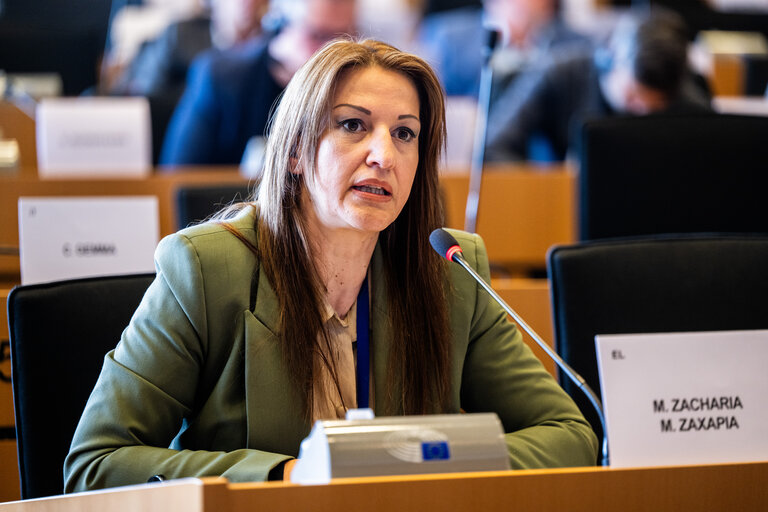 Photo 12: EMPL HOUS Interparliamentary Committee Meeting -  Affordable Housing for al : Policy Approaches and Best Practice Cases in the Member States – sharing success stories and considering new strategies