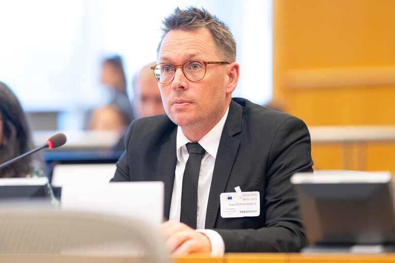 Fotografie 8: JURI - Exchange of views on the Recommendation on measures to combat counterfeiting and enhance the enforcement of intellectual property rights and the Recommendation on combating online piracy of sports and other live events