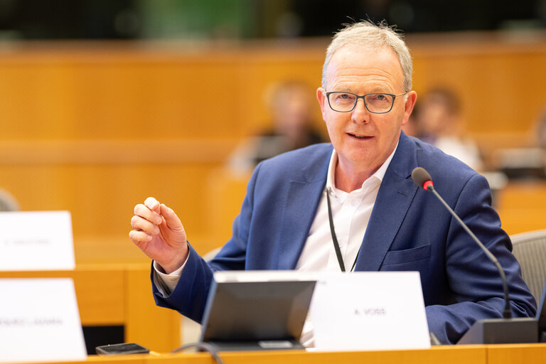 Fotografie 4: JURI - Exchange of views on the Recommendation on measures to combat counterfeiting and enhance the enforcement of intellectual property rights and the Recommendation on combating online piracy of sports and other live events