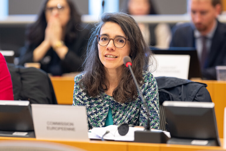 Fotografie 11: JURI - Exchange of views on the Recommendation on measures to combat counterfeiting and enhance the enforcement of intellectual property rights and the Recommendation on combating online piracy of sports and other live events