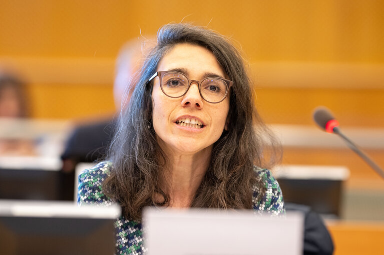 Fotografie 12: JURI - Exchange of views on the Recommendation on measures to combat counterfeiting and enhance the enforcement of intellectual property rights and the Recommendation on combating online piracy of sports and other live events