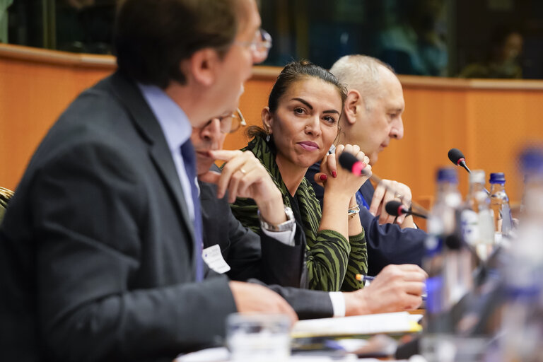 Fotografija 11: FISC - Public hearing on ' The Role of Tax in Aligning the Green Transition and Competitiveness '