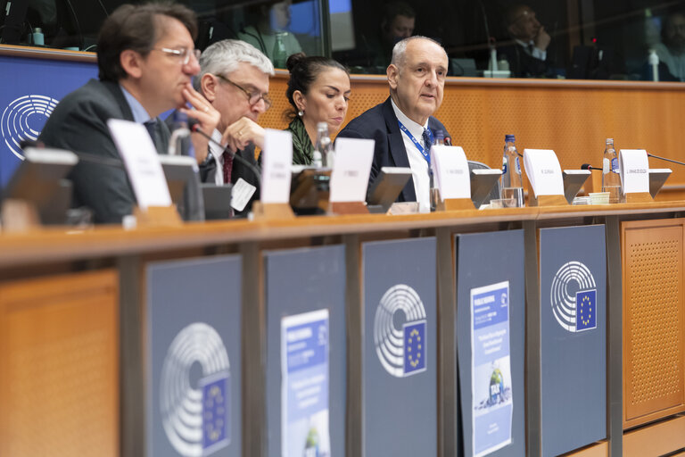 FISC - Public hearing on ' The Role of Tax in Aligning the Green Transition and Competitiveness '