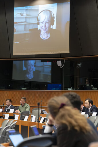 FISC - Public hearing on ' The Role of Tax in Aligning the Green Transition and Competitiveness '