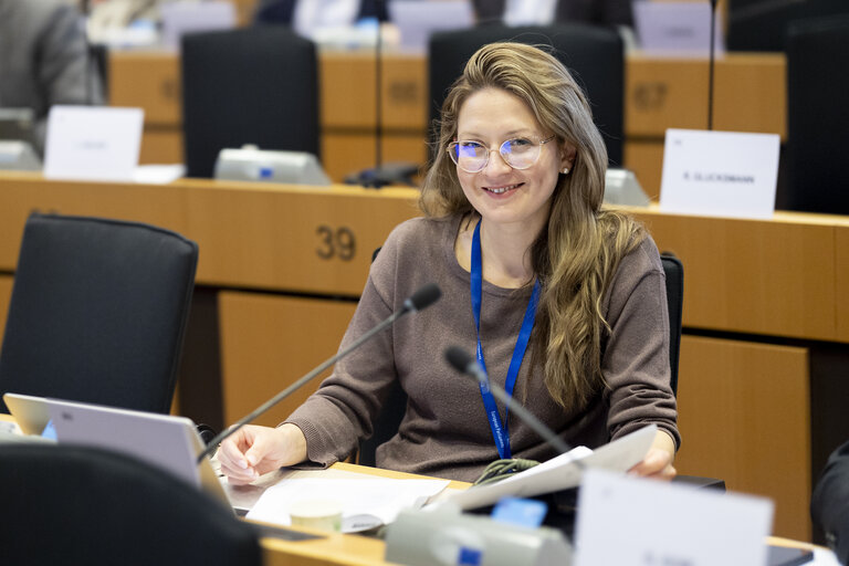 ITRE committee: Vote on European Defence Indusry Programme (EDIP) and on Gas storage-securing gas supplies ahead of winter