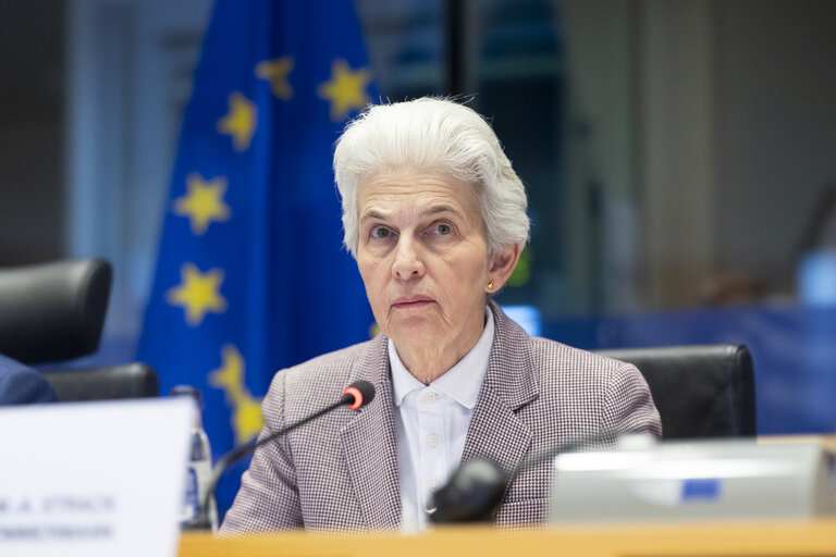 ITRE committee: Vote on European Defence Indusry Programme (EDIP) and on Gas storage-securing gas supplies ahead of winter