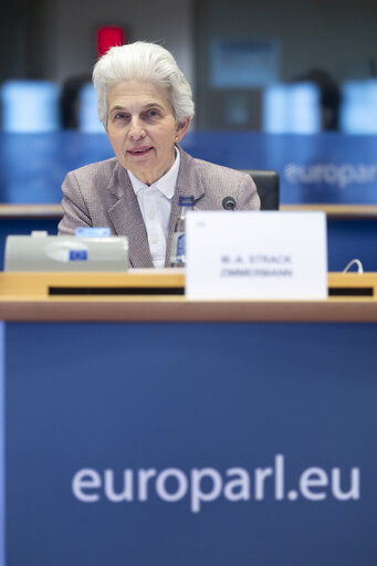 ITRE committee: Vote on European Defence Indusry Programme (EDIP) and on Gas storage-securing gas supplies ahead of winter