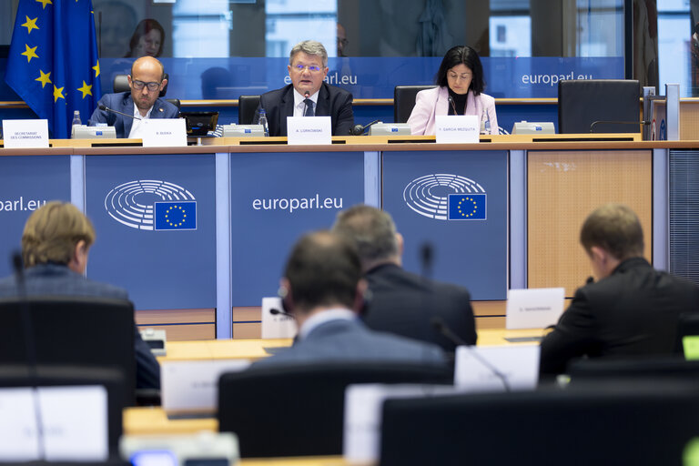 ITRE Committee meeting - Energy Community Parliamentary Plenum